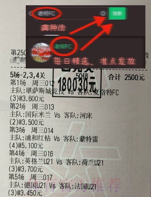 世界杯胜负预测网站